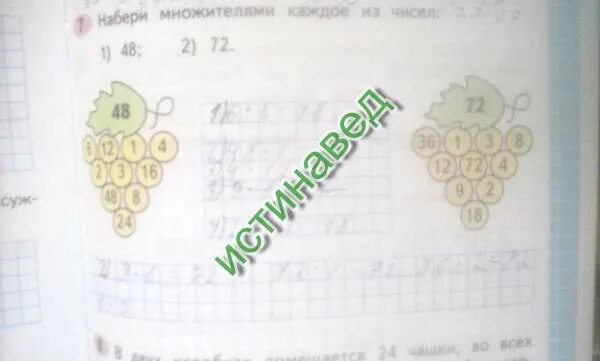 Множителями каждое из чисел. Набери множителями каждое из чисел. набери множителями каждое из чисел 48. набери множителями каждое из чисел 48.72. наберите множителями каждое из чисел 48 и 72.