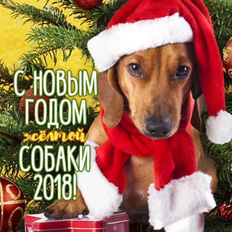 Новый год 2018. Новый год 2018 дни. С новым годом 2018. 2018 красивая картинка. Календарь 2019 года.