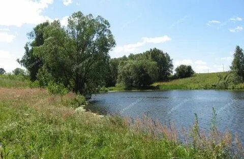 Чистое нижегородская область