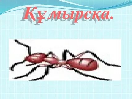 Павлодарлық жалаңаш қыздардың суреттері