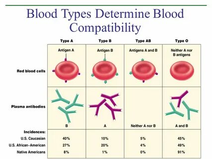 Blood types
