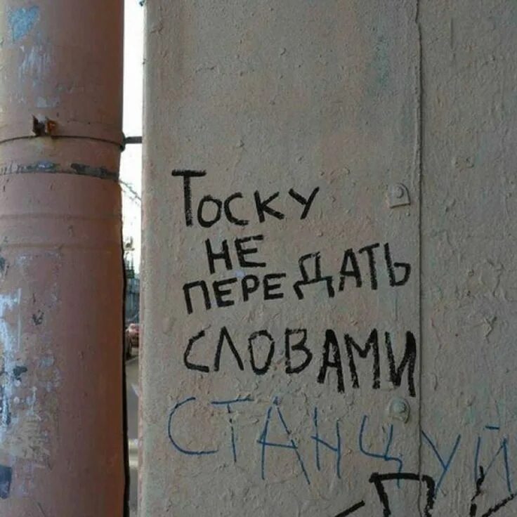Не могу передать словами передай деньгами. Не передать словами боль утраты. У кого имеются ко мне чувства цитата. Дорогая не могу передать словами как я тебя люблю передай деньгами. Позитивные надписи на стенах.