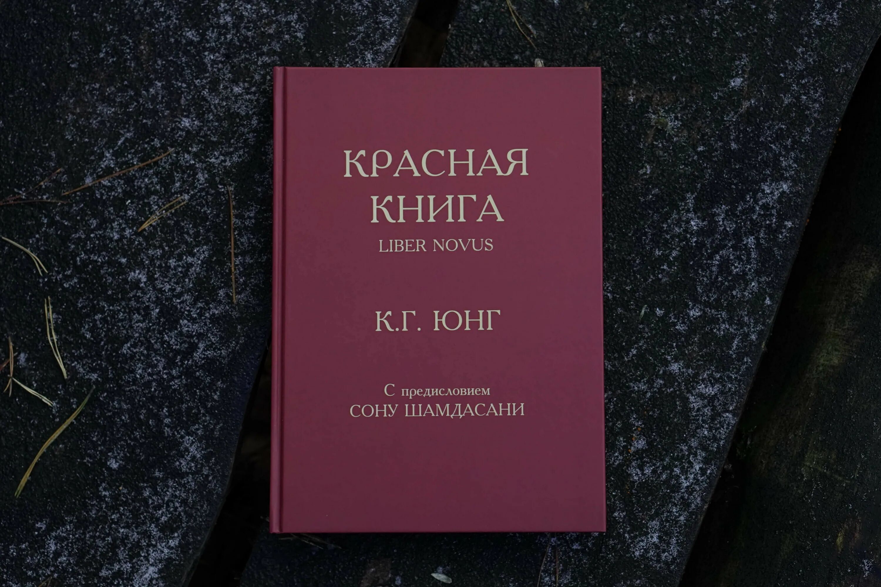 Красная книга юнга. Liber novus красная книга. Красная книга юнга отзывы. Красная книга юнга отзывы. Красная книга юнга иллюстрации.