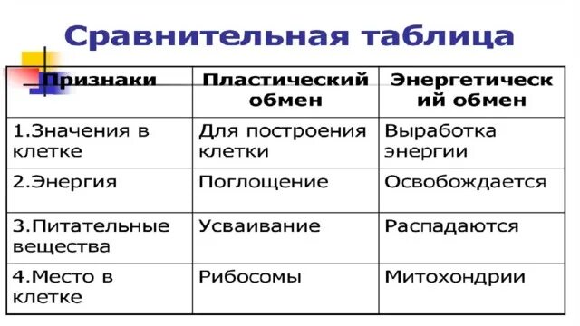 Основной процесс клеточного обмена. Основные процессы клеточного обмена. Клеточное дыхание таблица. Укажите основные процессы клеточного обмена.