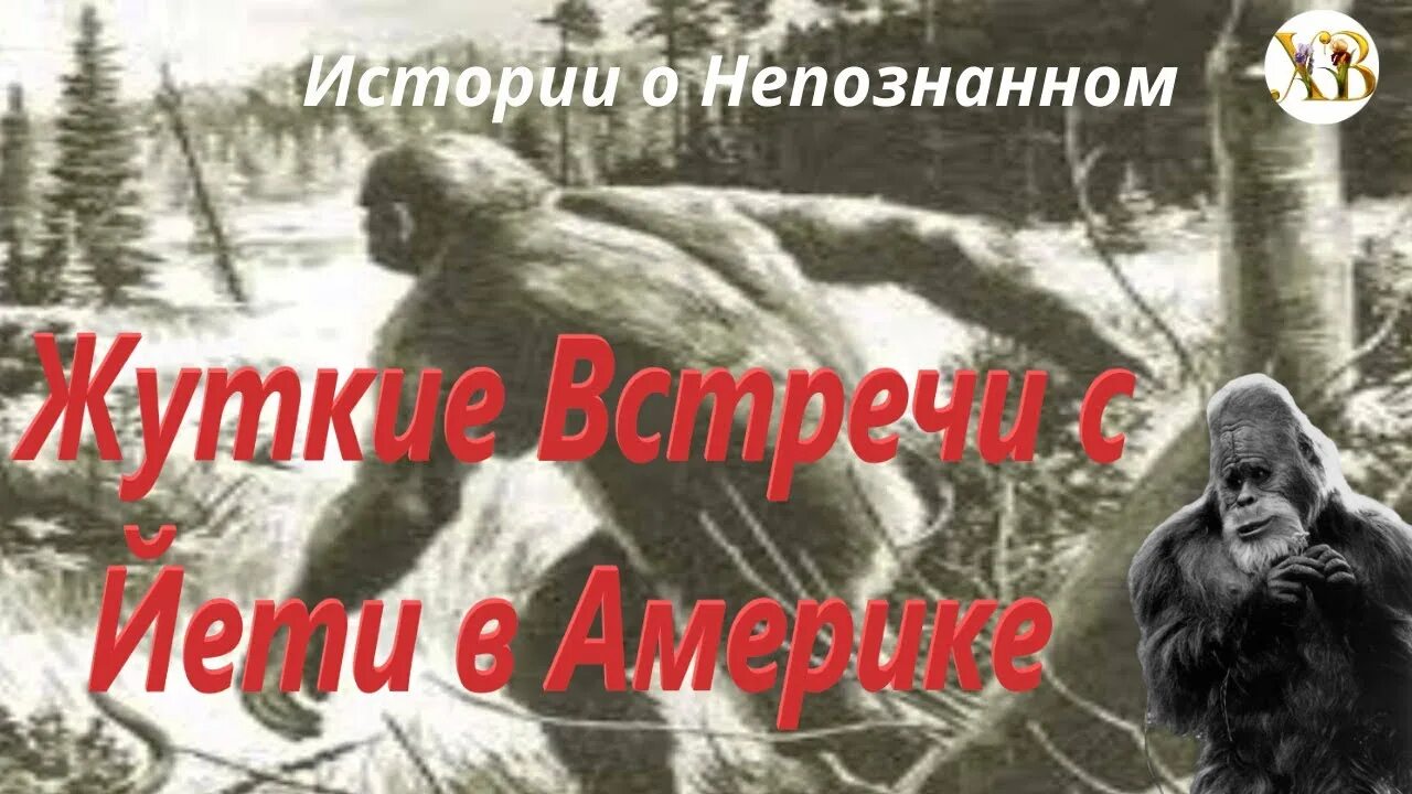 Снежный человек газета. Рассказы про снежного человека. Встреча со снежным человеком.