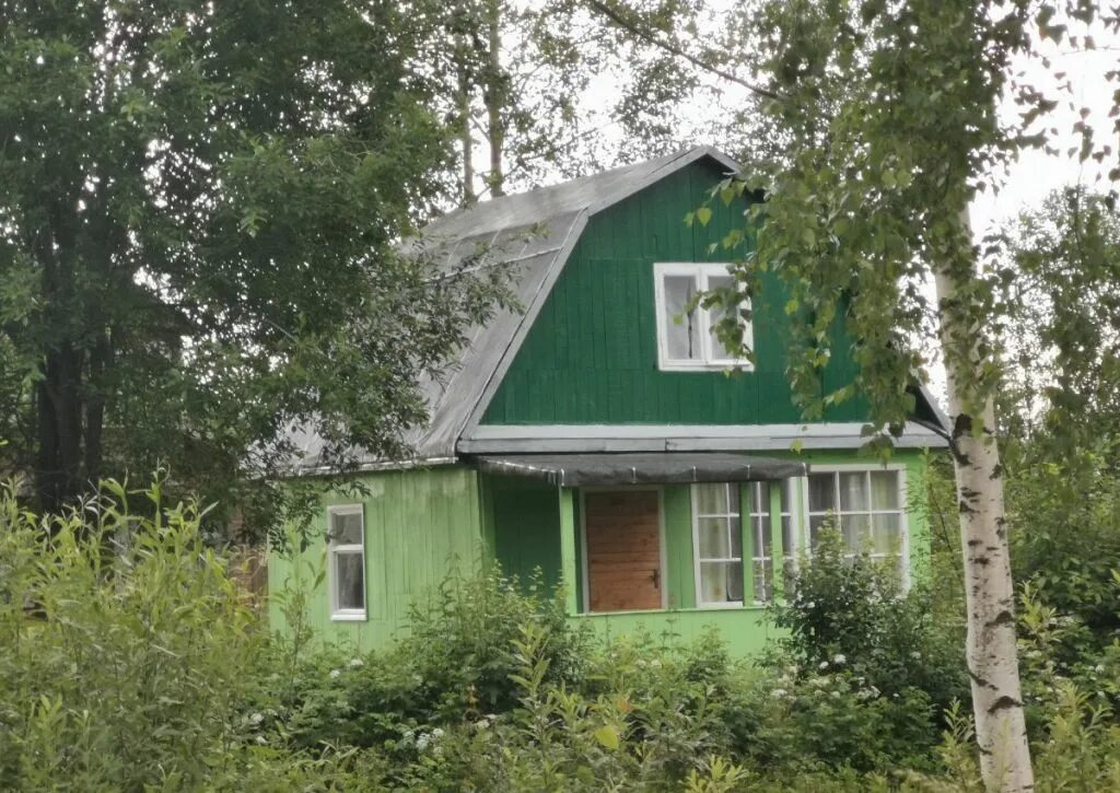 Дол петроградец в громово. Снт орехово северное. Снт орехово северное. Снт орехово северное. Восход садовое товарищество восход истра 1949г.