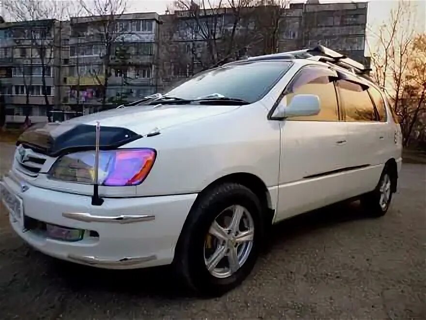 Ипсун якутске. Ипсун якутске