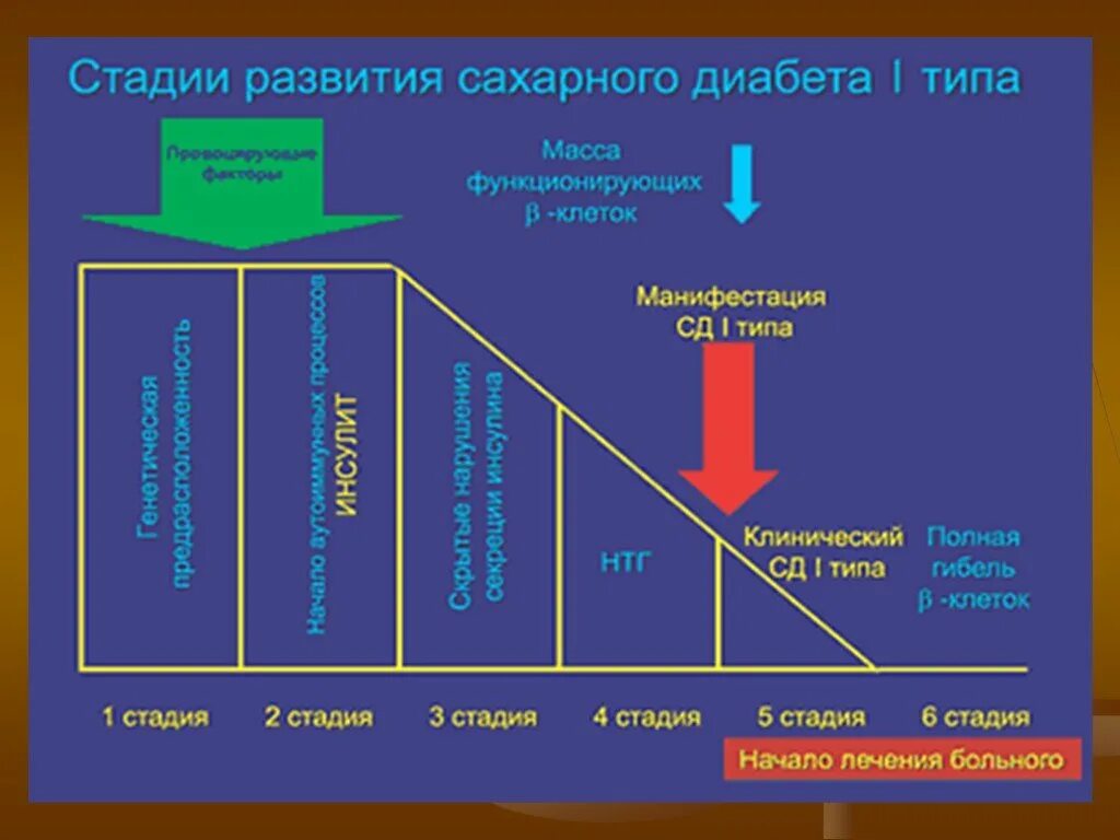 Стадии развития сахарного диабета. Стадии сахарного диабета 1 типа. Стадии развития сахарного диабета 2 типа. Манифестация СД 1 типа.