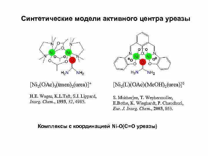 Фермент уреаза. Механизм действия уреазы. Уреаза структура. Реакция катализируемая уреазой. Уреаза фермент.