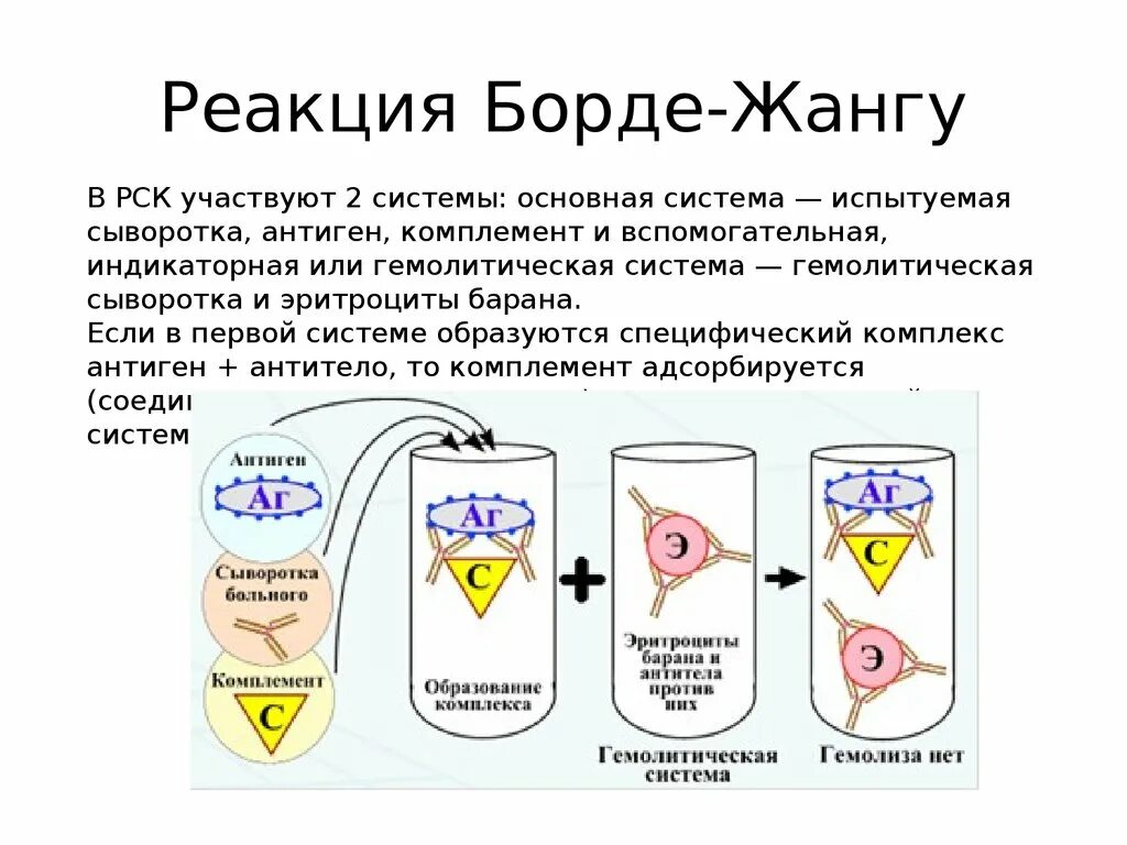 Комплемента рск. РСК (реакция борде-Жангу). Реакция связывания комплемента схема. Реакция связывания комплемента методика. Реакция связывания комплемента РСК микробиология.