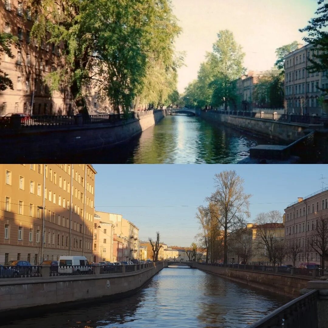Санкт петербург какой город раньше был. Набережная канала Грибоедова 8/1. Петербург в зелени. Канал Грибоедова деревья. Канал с деревьями в Питере.