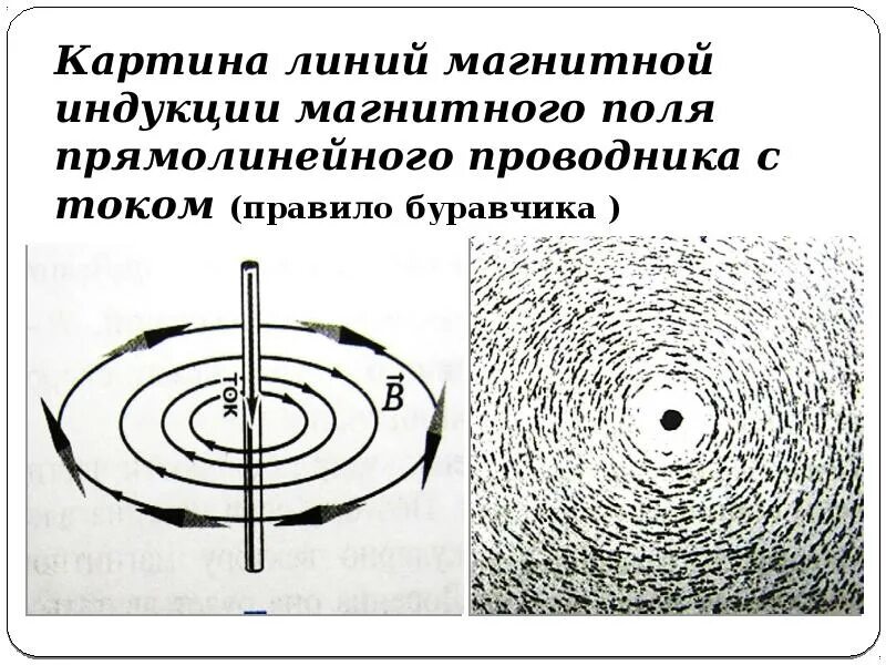 Направление магнитной линии рисунок. Магнитные линии магнитного поля проводника с током.. Картина линий индукции магнитного поля. Линии индукции магнитного поля проводника с током. Магнитные линии проводника с током.