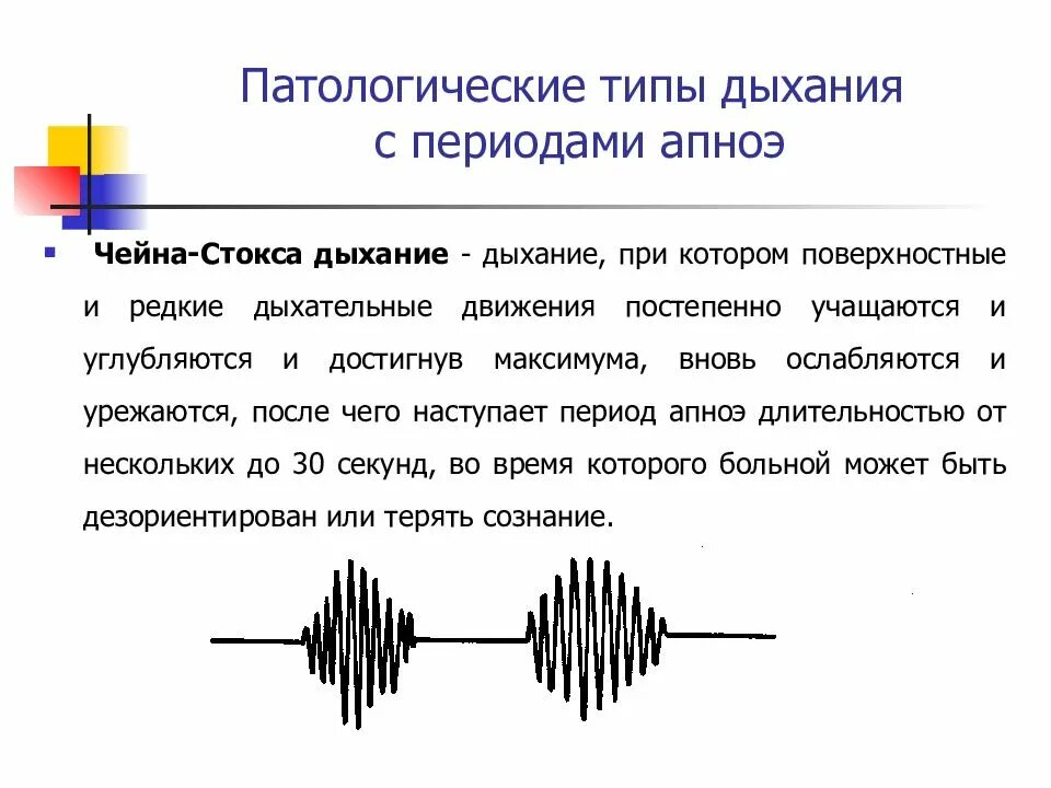 1 редкое дыхание. Патологические типы дыхания чейн Стокса. Патологическое дыхание Чейна-Стокса. Дыхание типа Чейна-Стокса. Дыхание Биота Чейна Стокса Куссмауля.