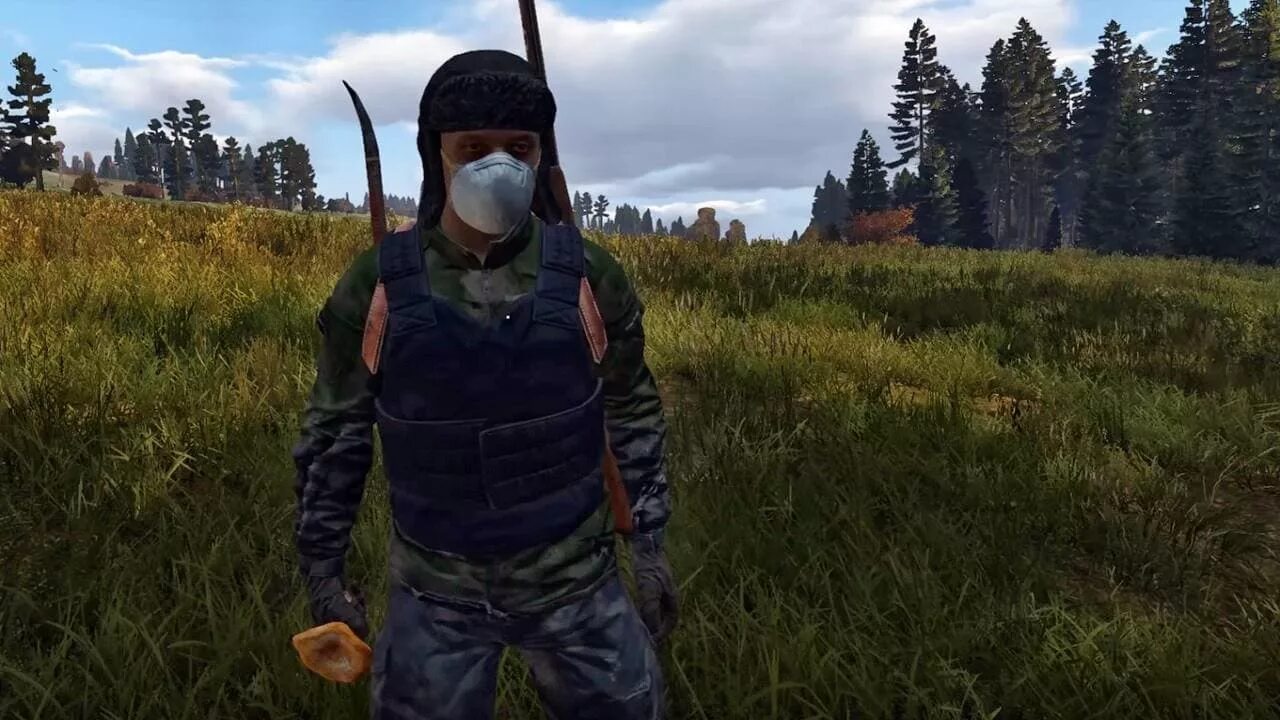 Dayz произошел необычным образом. Dayz bohemia interactive. day z системные требования. игра dayz на ps4. dayz системные требования 2013.