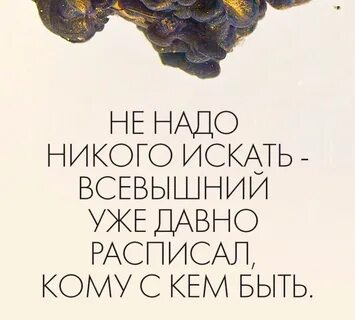 Никого не ищу