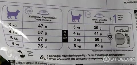 Сколько котенку нужно сухого корма в день