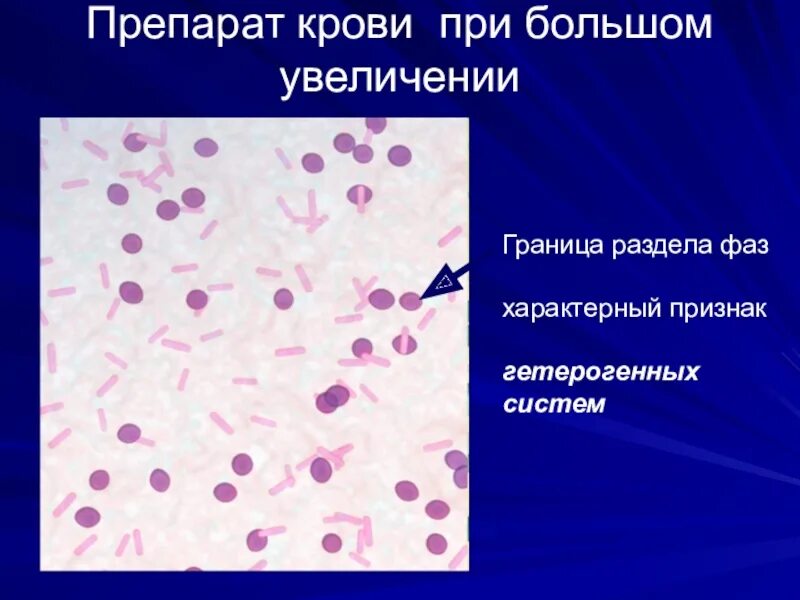 Препарат крови тест. Препараты крови. Кровь человека при Малом и большом увеличении. Кровь человека большое увеличение. Гетерогенная кровь.