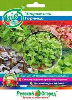 Семена микрозелени горчицы