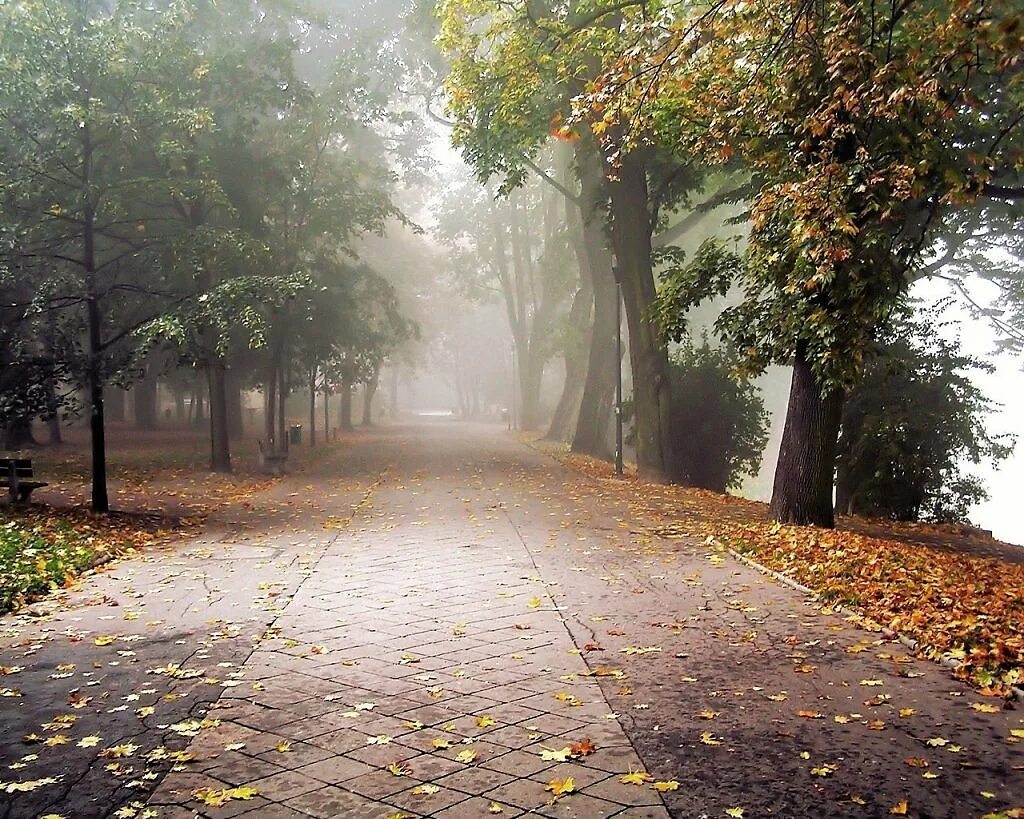 Осень без людей. Осень в городе. Осенний парк. Улица природа. Улица осенью.