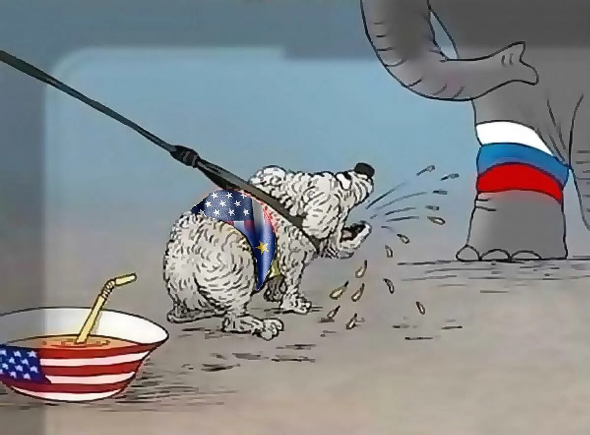 Моська знать она сильна коль. Моська лает на слона поговорка. Ай знать она сильна что лает на слона. Карикатуры на сша. Моська знать она сильна коль.