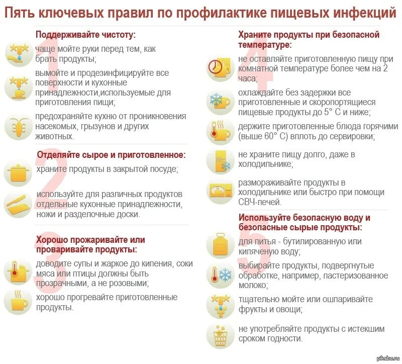 Профилактика пищевых отравлений памятка. Профилактика пищевых токсикоинфекций памятка. Пять ключевых правил профилактики кишечных инфекций. Профилактика пищевых отравлений и кишечных инфекций.