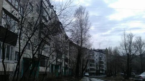 Ворошилова 53