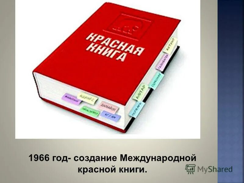 Красная книга 2024 года