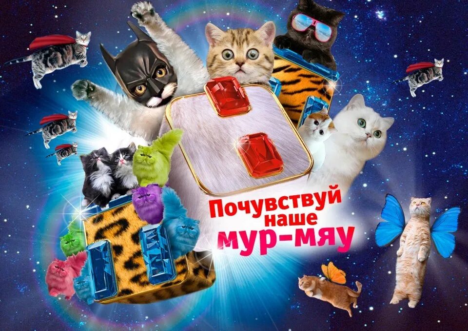 Песни мяу мур мур. ТНТ кошка. Мур мяу. Почувствуй наш новый год ТНТ. День кошек 8 августа.