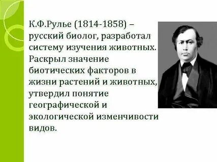 Себастьян рулье
