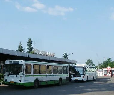 Шаховской автовокзал расписание автобусов
