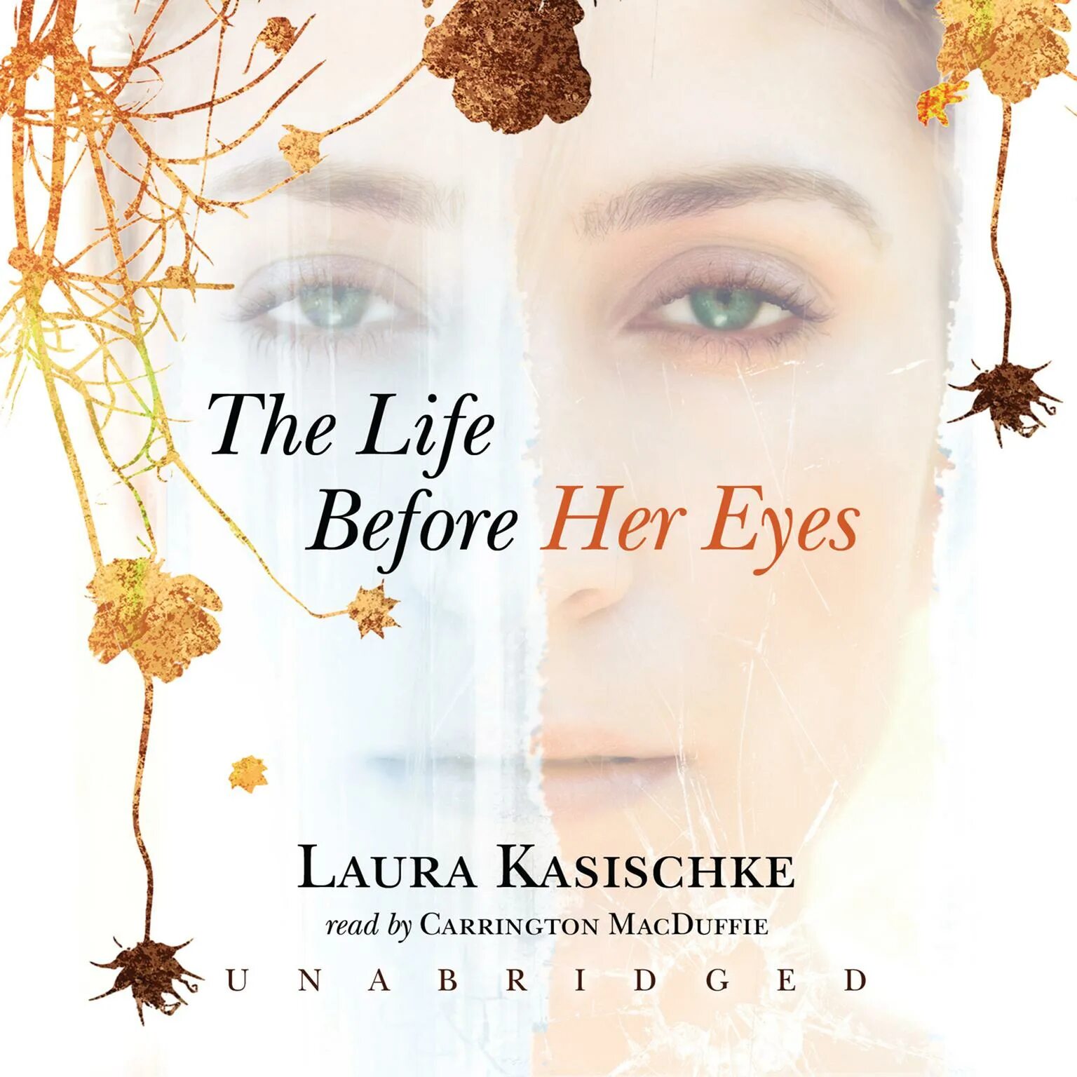 The Life before her Eyes. Life before her Eyes dialogues. The Life before her Eyes DVD Cover.