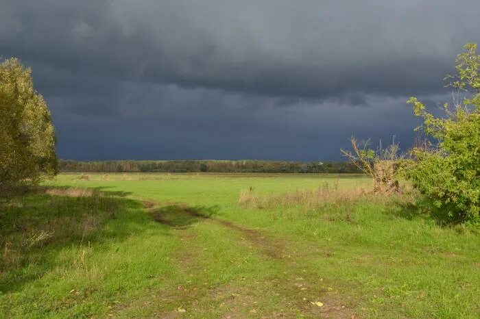 Погода лукьяновка одесский район. Лукьяновка Белгородская область. Деревня Лукьяновка Нижегородской области. Деревня Лукьяновка Краснооктябрьский район. Лукьяновка Губкинский район.