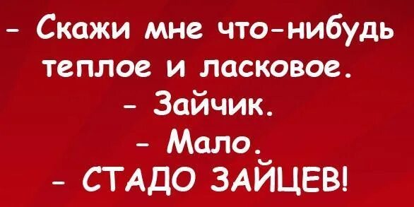 Скажи мне что-нибудь теплое и ласковое зайчик. Милый скажи что-нибудь теплое. Что нибудь теплое. Теплое ласково зайчик мой мало толпа Зайцев. Песня ласковый заяц