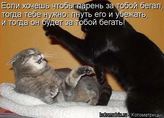Молилась ли на ночь дездемона. Молилась ли ты на ночь дездемона прикол. Спи моя радость усни в погасли огни. Молилась ли тына начь дездемона. Ты молилась на ночь дездемона.