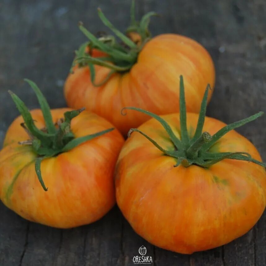 Томат оранж описание сорта. Томат оранж описание сорта. Томат оранжевый капрезе. Семена томат амана оранж. Томат оранжевый слон.