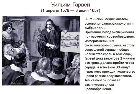 Уильям гарвей открытия в биологии