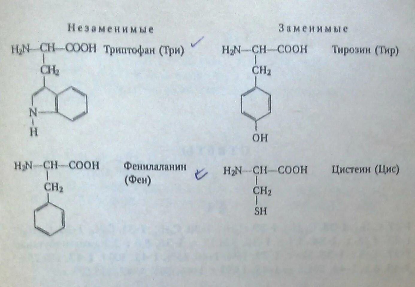 Фенилаланин плюс гидроксид натрия. Глицин и фенилаланин реакция. Фенилаланин с карбонатом натрия. Взаимодействие фенилаланина с этанолом.