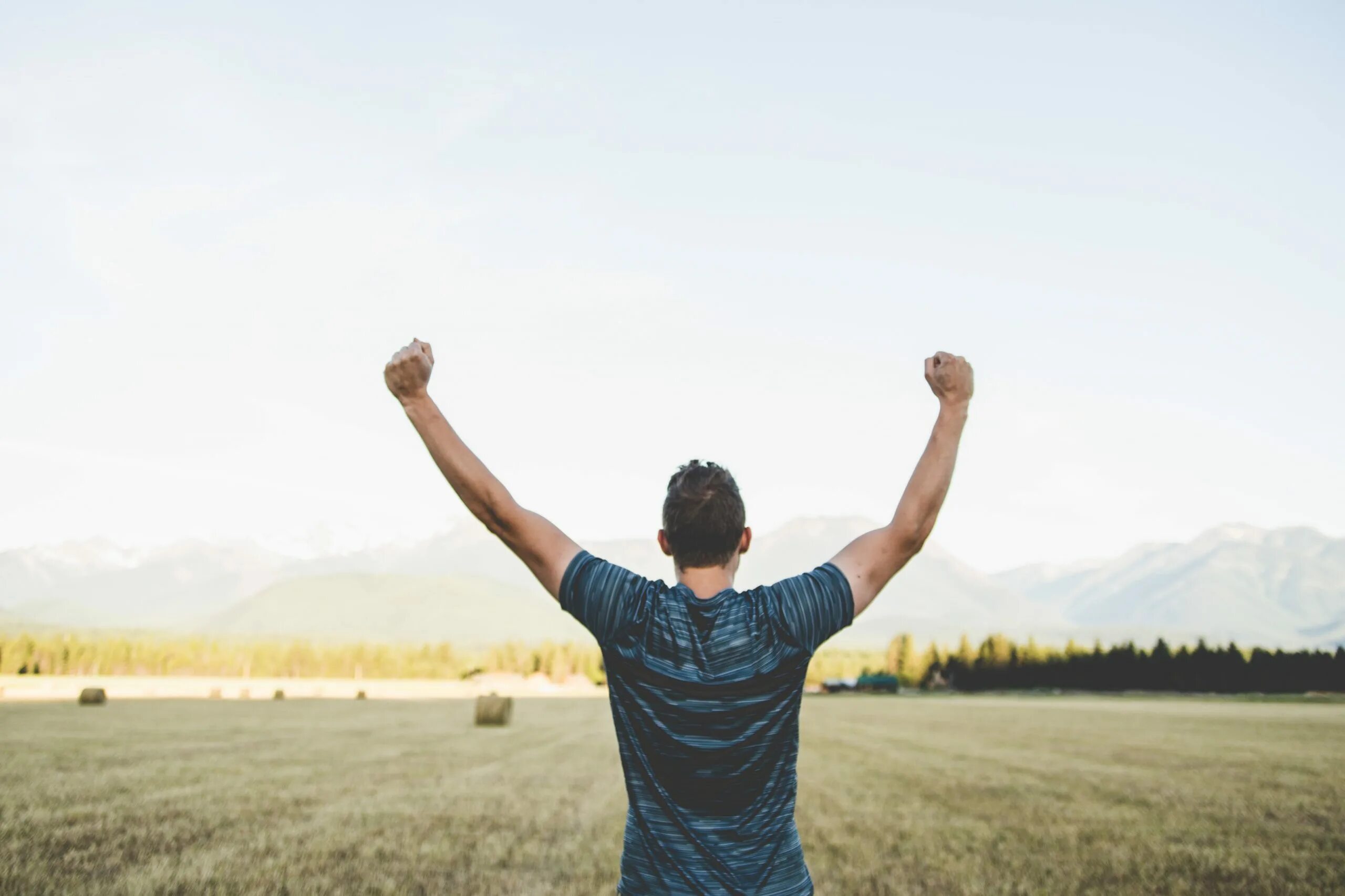 You are the best win. Человек с поднятой рукой. Человек поднял руки вверх. Человек с поднятой рукой со спины. Человек спиной руки вверх.
