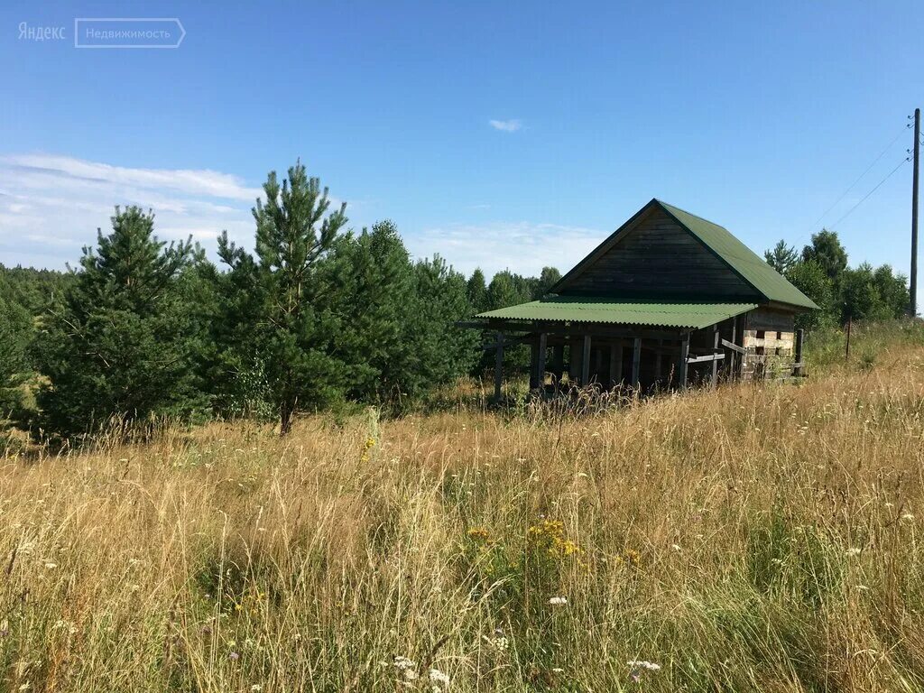 0 25 соток. 0 25 соток. 25 соток земли. Днп лесное клинский район. 0 25 соток.