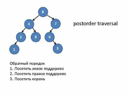 Лево корень