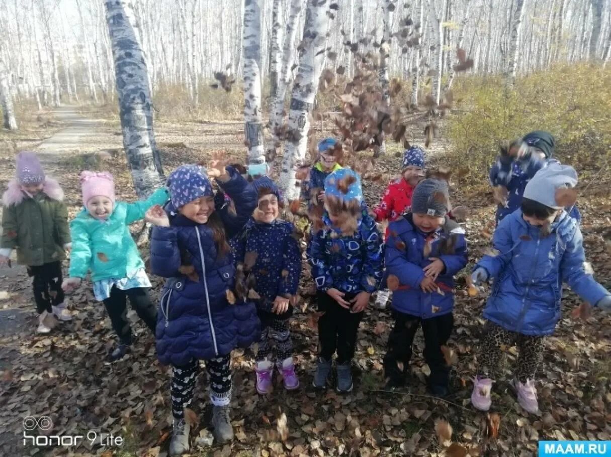 Прогулка по весеннему лесу младшая группа. Математика прогулка в лес в средней группе.