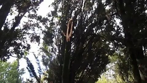 Ураган в сочи 23 декабря
