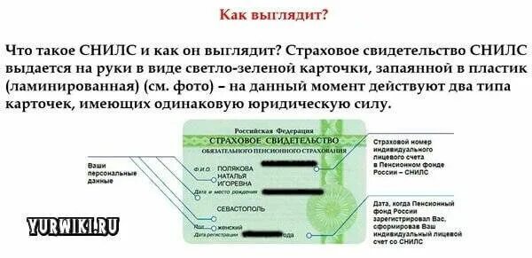 Как снять деньги со снилс счета. Снилс расшифровка. что такое снилс расшифровка и как выглядит. справка снилс. как расшифровывается снилс.