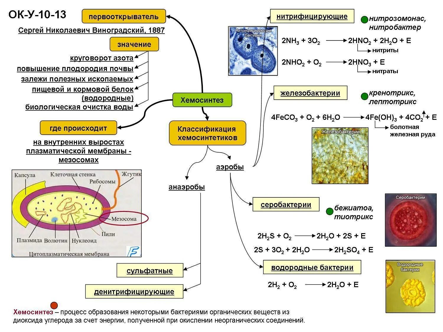 Получение энергии бактериями. Хемосинтез схема процесса. Таблица про бактерии хемосинтез 10 класс. Типы питания организмов. Фотосинтез. Хемосинтез. Организмы осуществляющие процесс хемосинтеза.