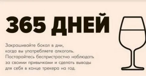 365 категории