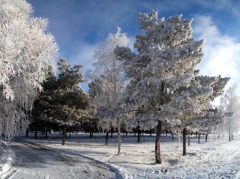 Декабрь картинки. Зима январь. Январь фотографии. Февраль месяц природа. Полный месяц февраля