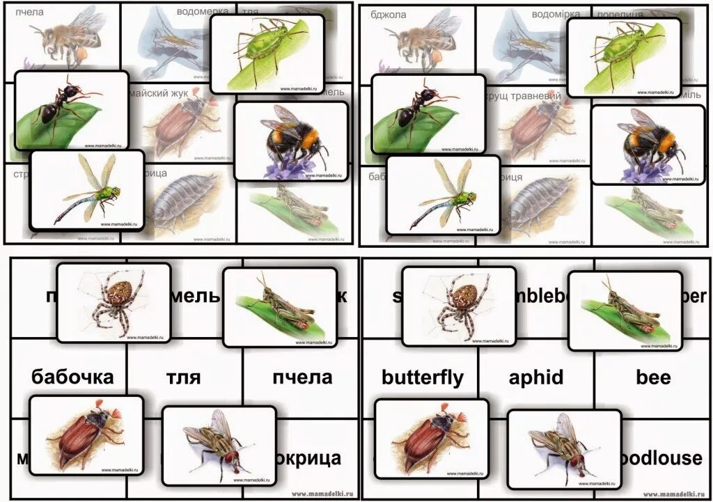 Игра лото насекомые. Лото насекомые для детей. Лото насекомые для дошкольников. Лото насекомые средняя группа. Пчела и бабочка текст