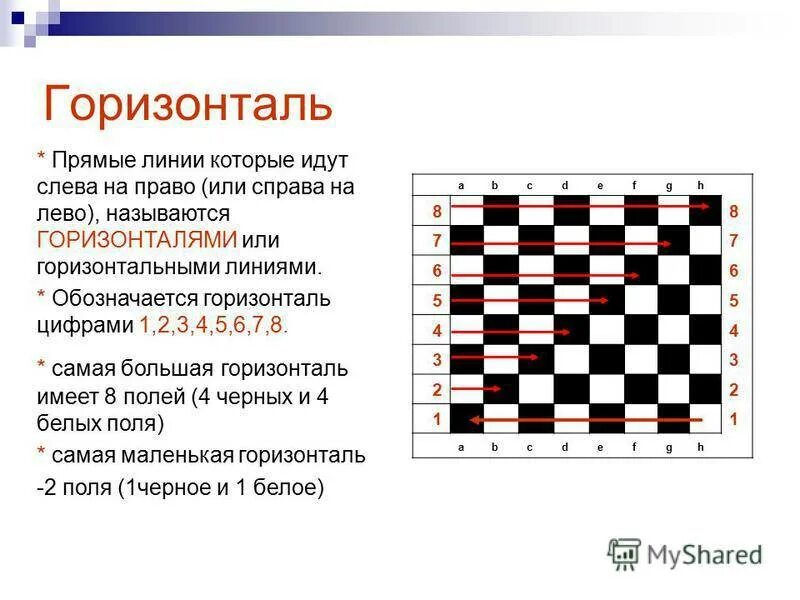 Горизонтали и вертикали