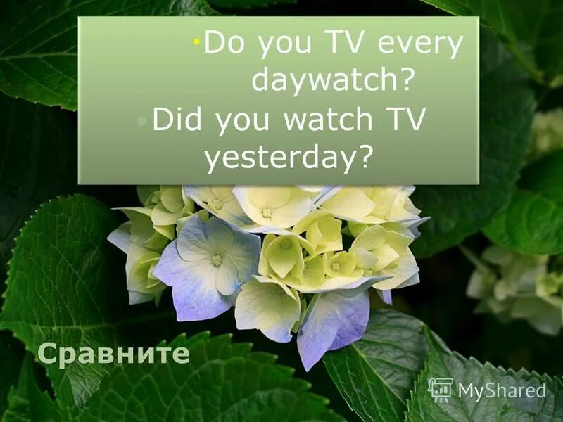 What do you. Watch tv yesterday. Did you watch tv yesterday. Did you watch tv yesterday. What were they doing yesterday? перевод.