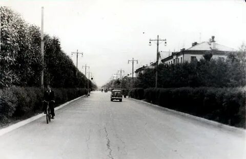 Июнь 1961 год